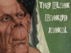 Image for The Black Backed Jackal