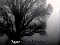 More Than Sparrows