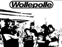 Wollepolle