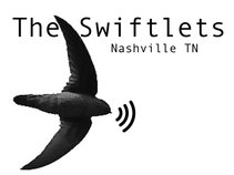 The Swiftlets