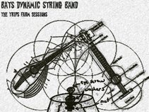 Bats Dynamic String Band