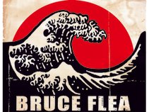 Bruce Flea