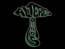 Altered Minds Entertainment