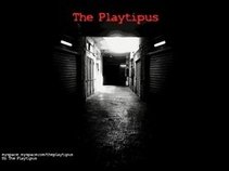 The Playtipus