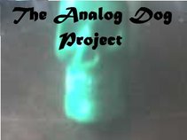 Analog Dog Project