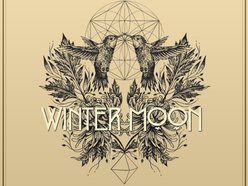 Image for WinterMoon