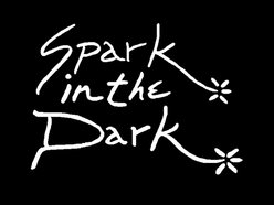 Image for Spark in the Dark