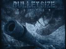 Bulletsize