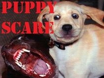 Puppy Scare