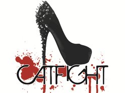 Image for CatFight!