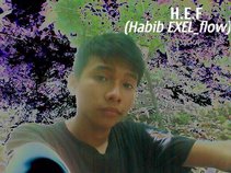 Habib_exel flow