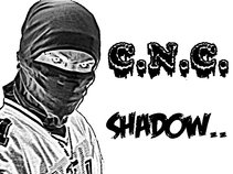 The Crooked Ninja Clan