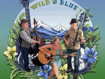 Wild and Blue String Band