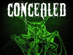 Image for CONCEALED