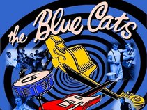 THE BLUE CATS - BELTANE FIRE