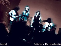 Limerick - Tributo a The Cranberries