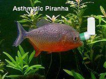 Asthmatic Piranha