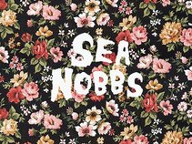 Sea Nobbs