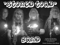 Stoned Toad Band