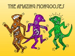 Image for The Amazing Mongooses