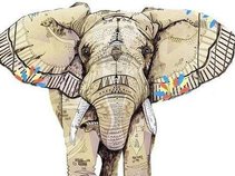 A Circus For Elephants