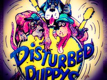 Stash & The Disturbed Puppys