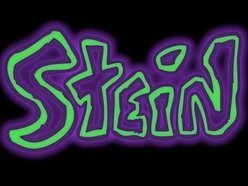 Image for Stein