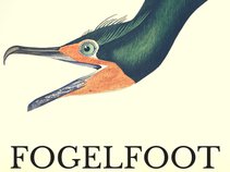 Fogelfoot