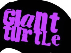 Image for Giant Turtle...