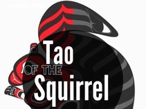 Tao of the Squirrel