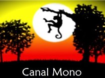 Canal Mono Reggae (Ensayos)
