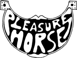 Image for Pleasure Horse