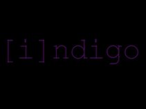Indigo (pisa)