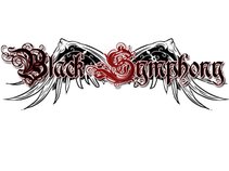 Black Symphony-Tribute Band Within Temptation