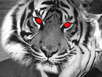 Red Eyed Tigers