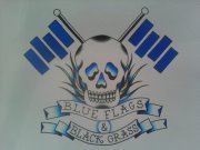 Blue Flags & Black Grass