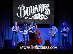 Image for The Bodarks