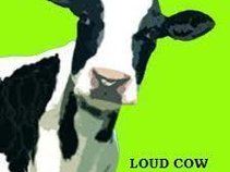 Loud Cow Studio//Brand New Heads