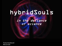 Hybrid Souls