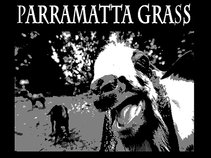 Parramatta Grass