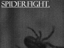 Spiderfight