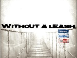 Image for Without A Leash
