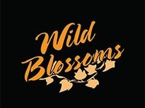 WILD BLOSSOMS BAND