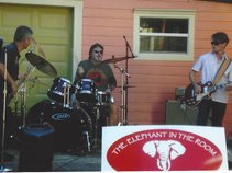 The Elephant in the Room Band