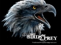 Birds of Prey Band