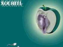 Xochitl [So - Chil]
