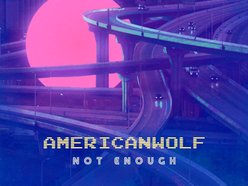 Image for American Wolf