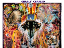 Image for Gnarly Charlies