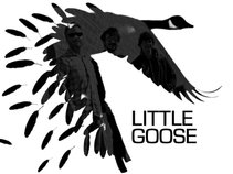 Little Goose