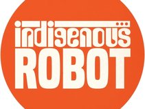 Indigenous Robot